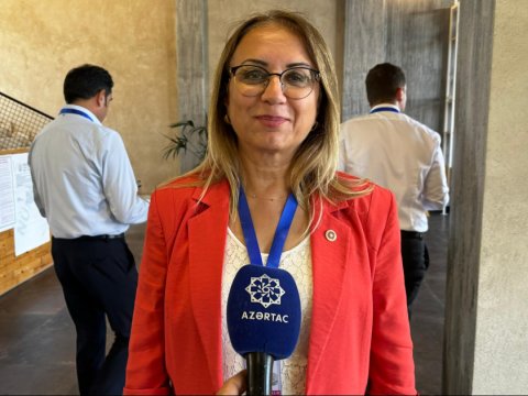 TÜRKPA-nın müşahidəçisi: Seçkilər şəffaf şəkildə təşkil olunub