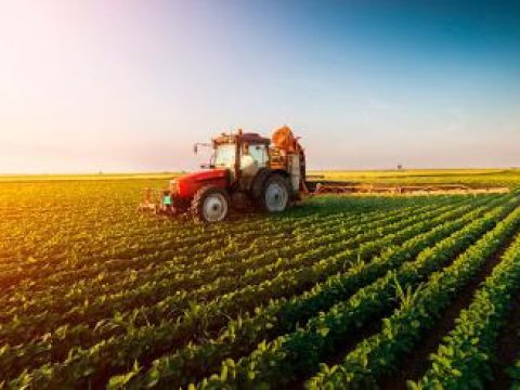 Aqrar sektorda hansı məhsul daha çox gəlir gətirib?