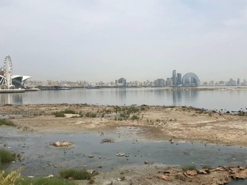 "Xəzərdə 40 min hektar ərazi çəkilmələrə məruz qalıb" - Professor