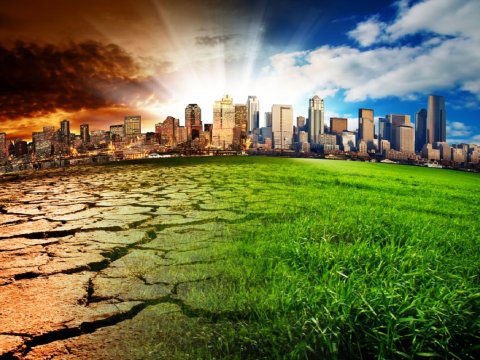 Qlobal iqlim dəyişikliyi: Yanan meşələr, quruyan çaylar... - ÖLKƏLƏR