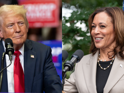 Qadınlar Trampdansa, Harrisə üstünlük verir