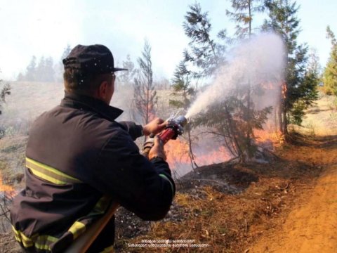 Borjomidə meşə YANIR
