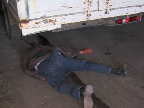 Dincəlmək üçün otluqda uzandı - Yük maşını üstündən keçdi