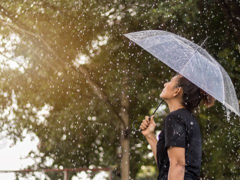 Yağış yağacaq, temperatur enəcək - Günün havası