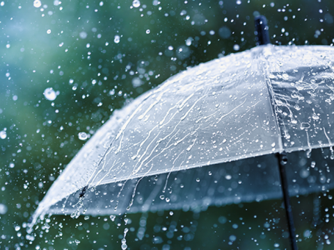 Sabah bu rayonlara yağış yağacaq