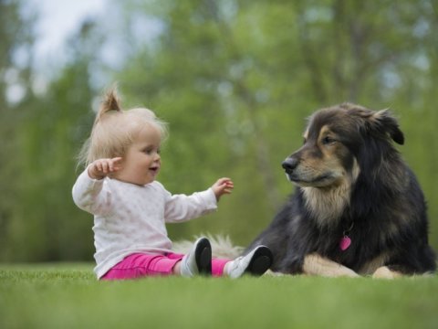 Uşaqlarda heyvan sevgisi: Onlar böyüyəndə&nbsp;potensial cinayətkar ola bilər