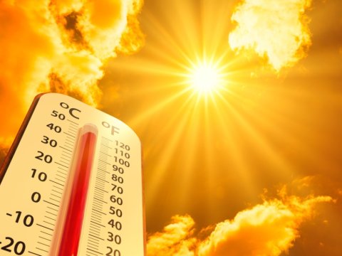 2024-cü ilin yayı ən isti mövsüm olub