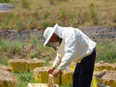 "32 ildən sonra kəndimizdə öz işimizi qururuq" -&nbsp;Zabux sakini (VİDEO)