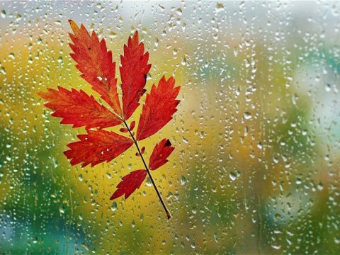 Bəzi rayonlarda yağış yağıb - Faktiki hava