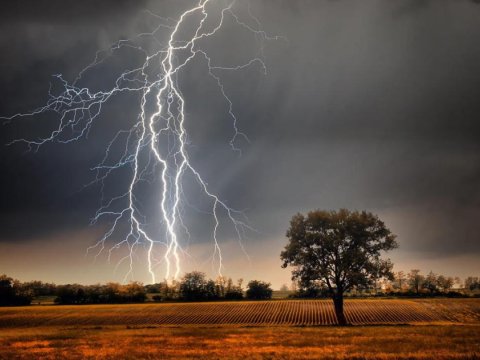 İldırım vurması nəticəsində 7 nəfər öldü