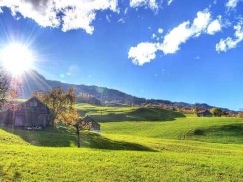 Bu gün 35 dərəcə isti olacaq