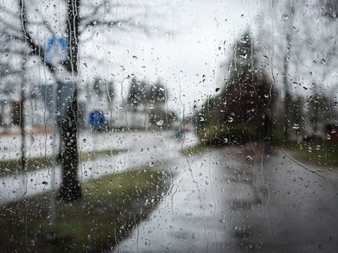 Bu yay son on ilin ən çox yağıntısı qeydə alınıb