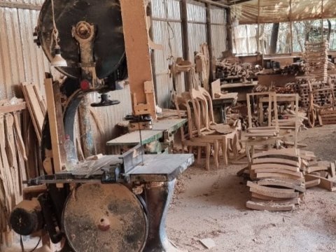 Lənkəranda ağac emalı sexi aşkarlandı - Sahibi cərimələndi