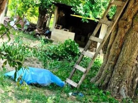 68 yaşlı kişi qoz ağacından yıxılaraq&nbsp;öldü