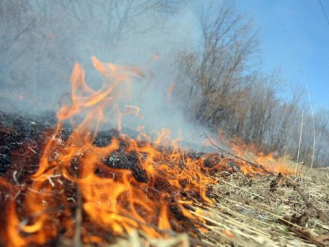 Xocalıda yanğın -&nbsp;Əraziyə helikopterlər göndərildi - VİDEO