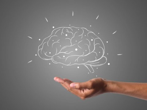 İnsan beyni böyüdükcə daha tez qocalır