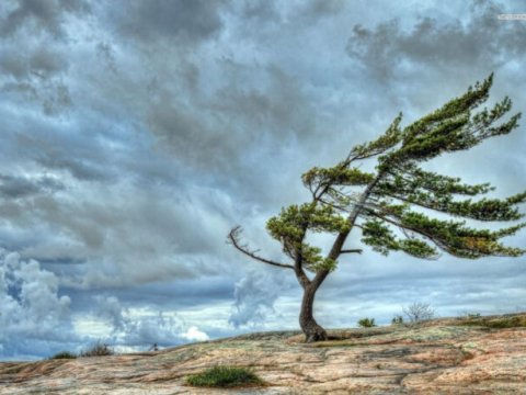 Küləkli hava iki gün davam edəcək - XƏBƏRDARLIQ