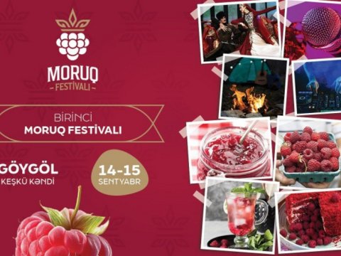 Azərbaycanda ilk dəfə &ldquo;Moruq Festivalı&rdquo; keçiriləcək