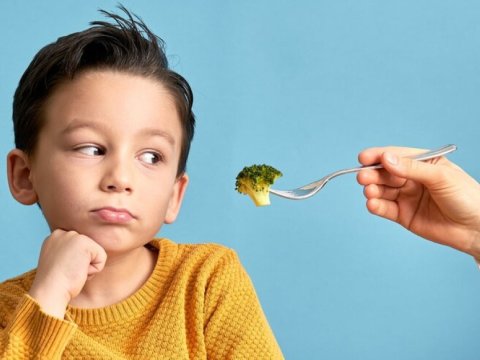 Məktəblilərə bu qidaları verin - Həkim məsləhəti