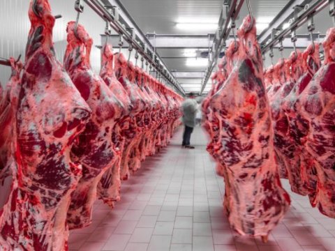 Azərbaycana xaricdən təhlükəli ətlər gətirilir?