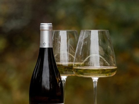 Rusiyada şərabçılıq sanksiya probleminə necə çarə tapıb?