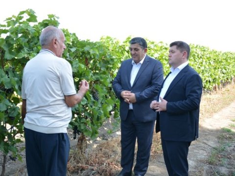 İlham Süleymanov Ağstafada vətəndaşlarla görüşdü, təsərrüfatlara baş çəkdi