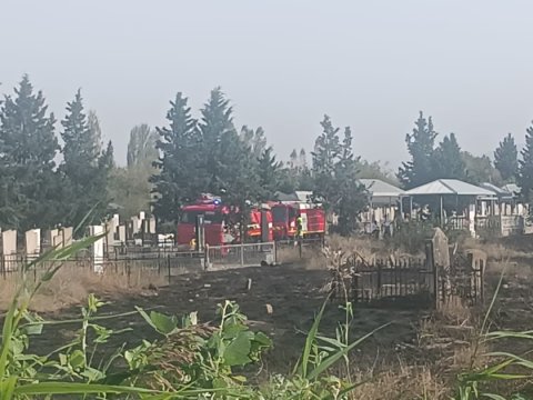 Tovuzda qəbiristanlıqda yanğın
