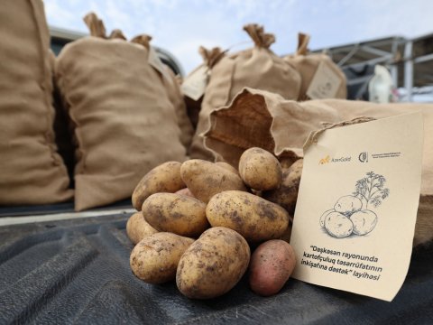 &ldquo;AzerGold&rdquo;un kartofçuluq təsərrüfatının inkişafına dəstək layihəsi başa çatıb