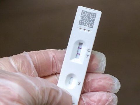 Koronavirusun yeni variantı: İndi də XEC yayılır? - Alimlər təşvişdə...