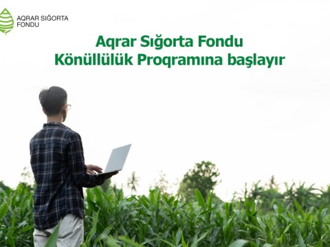 Tələbə və məzunlar üçün Könüllülük Proqramı başlayır