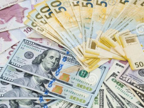 Manatın taleyi: Arzu və reallıqda  