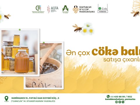 Yarmarkada ən çox cökə balı satışa çıxarılıb