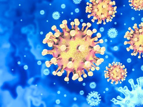 Koronavirusun yeni növü Avropada&nbsp;