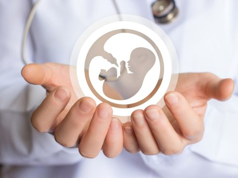 Azərbaycanda abortla bağlı dəhşətli statistika -&nbsp;əksəriyyəti&nbsp;GƏNCDİR