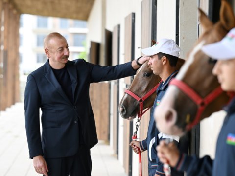 Prezident Qarabağ atlarına baxdı - FOTO