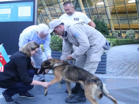 ABŞ Azərbaycana daha iki minaaxtaran it verdi -&nbsp;FOTO