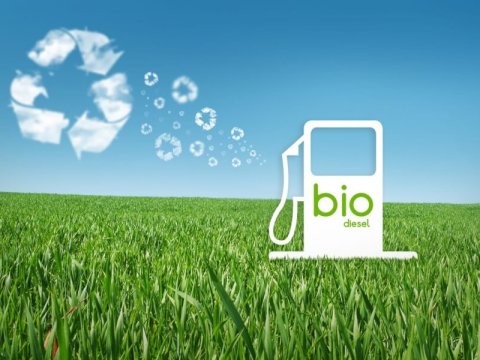 Azərbaycanda biodizelin istifadəsi mümkündürmü?