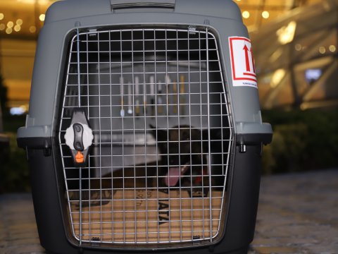 6 it minatəmizləmə əməliyyatlarına cəlb olunacaq&nbsp;