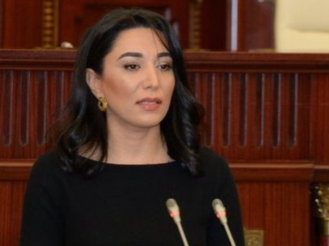 Ombudsman ABŞ Konqresinin açıqlamalarını pislədi