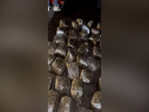 Şabranda narkotik əməliyytı