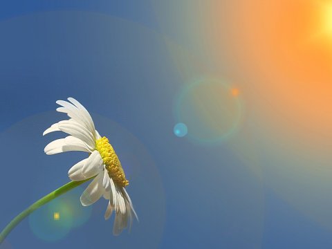 30 dərəcə isti - SABAHIN HAVASI