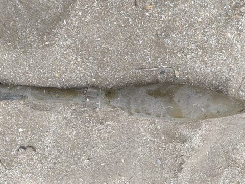 Bakıda tank əleyhinə mərmi TAPILDI