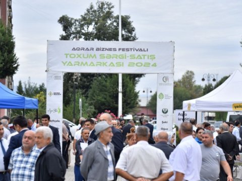 Masallı və Neftçalada növbəti toxum sərgi-satış yarmarkaları keçirilib