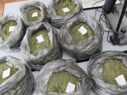 Keçmiş məhkum qaçaqmalçılıq yolu ilə ölkəyə marixuana gətirdi