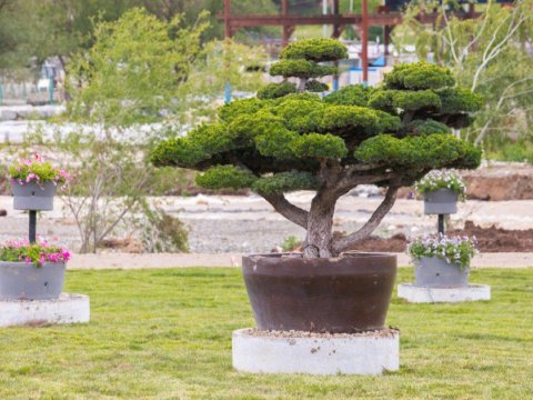 Xocalı bulvarından GÖRÜNTÜLƏR