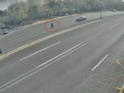 8 Noyabr prospektində piyadanı maşın vurub öldürdü