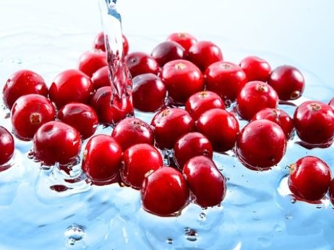 İnsanı 17 növ xərçəngdən qoruyan içki