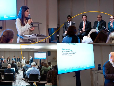 Nyu-Yorkda COP29-un BICFIT təşəbbüsünə dair müzakirələr olub