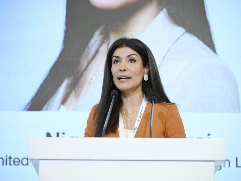 "İqlim məsələlərinin öhdəsindən təkbaşına gələ bilmərik"&nbsp;