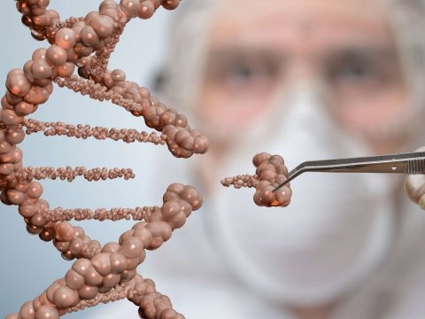 İtkin ailələrindən 11200-dən çox bioloji nümunə götürülüb